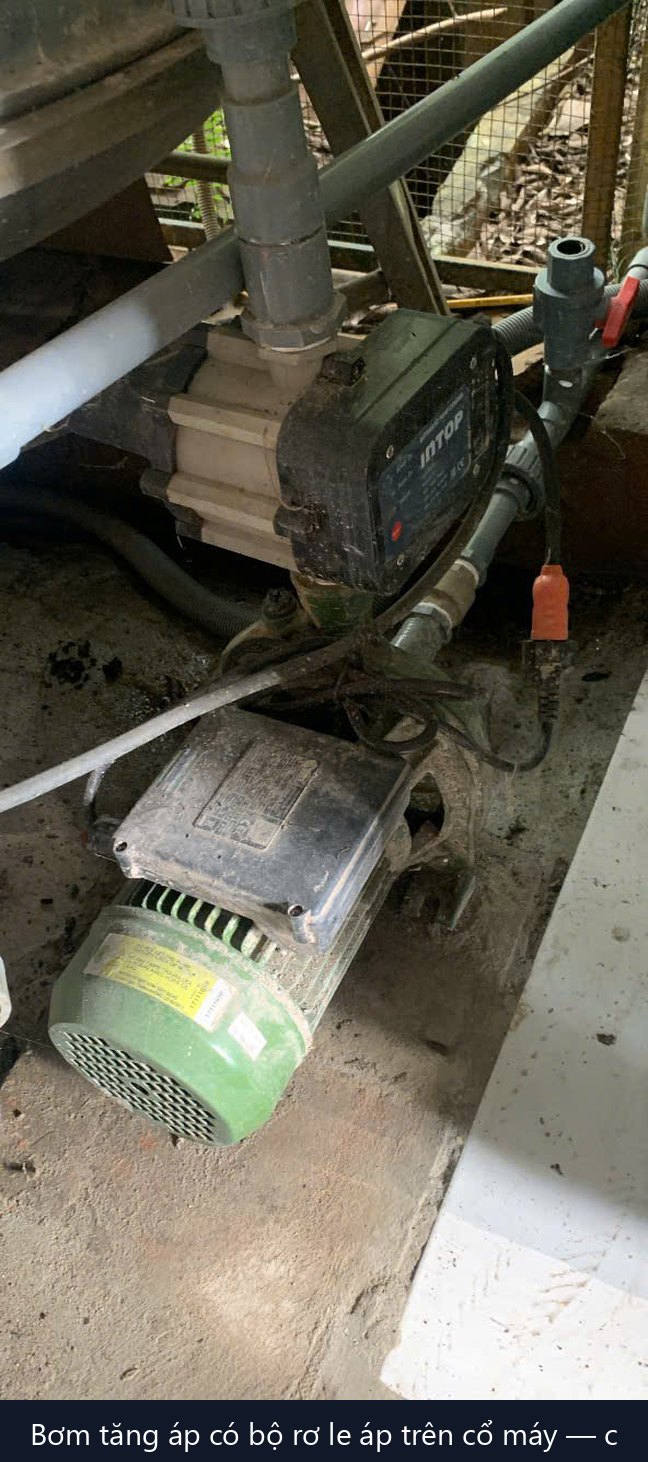 máy bơm tăng áp gắn bộ rơ le áp lực đặt dưới bồn nước